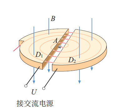 题图