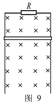 题图