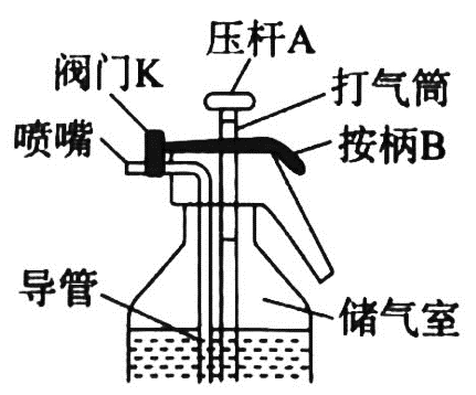 题图
