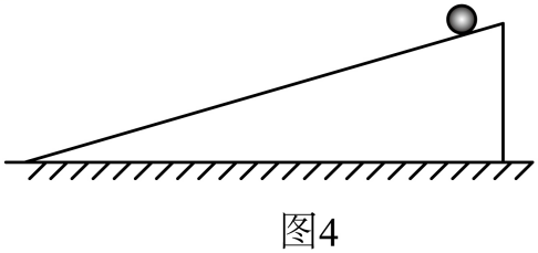 题图