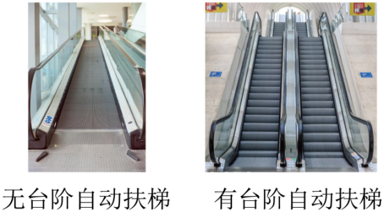 题图