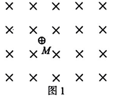 题图