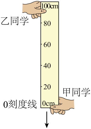 题图