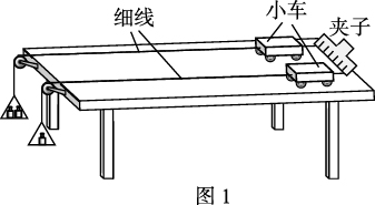 题图