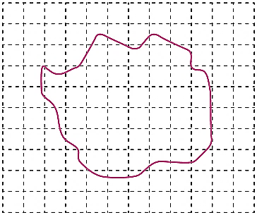 题图