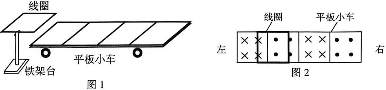 题图