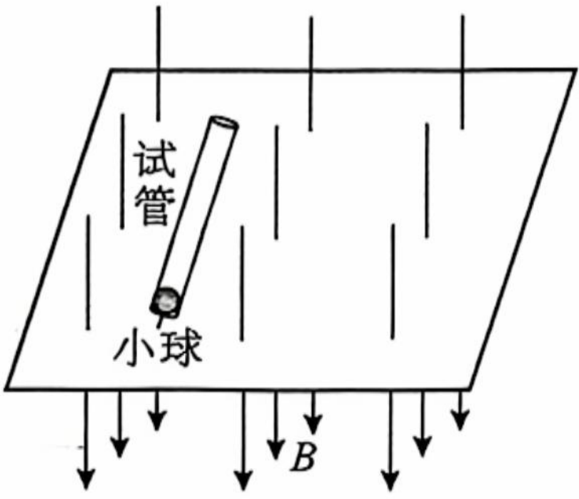 题图